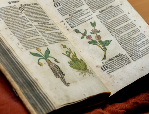 Symposium “Planten en Kruiden in de Boekgeschiedenis”